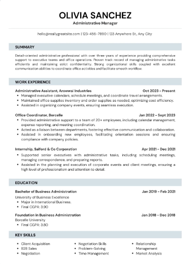 Professional CV Sample 57